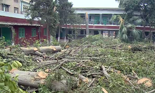 خیبرپختونخوا میں درختوں کی کٹائی ... بلین ٹری منصوبہ کھٹائی میں پڑ گیا