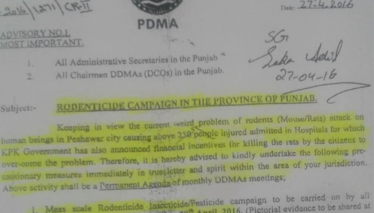 پشاور کے بعد پنجاب میں بھی چوہوں کا کھیل شروع، پبلک مقامات پر مہم شروع کرنے کی ہدایت