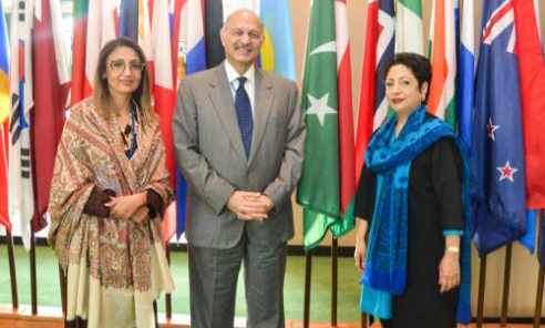 پاکستان نے مقبوضہ کشمیر میں بھارتی بربریت کے ثبوت اقوام متحدہ میں پیش کردیئے