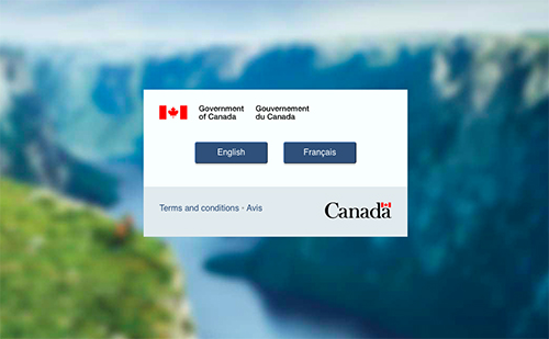 کینیڈا کی امیگریشن ویب سائٹ کریش کر گئی