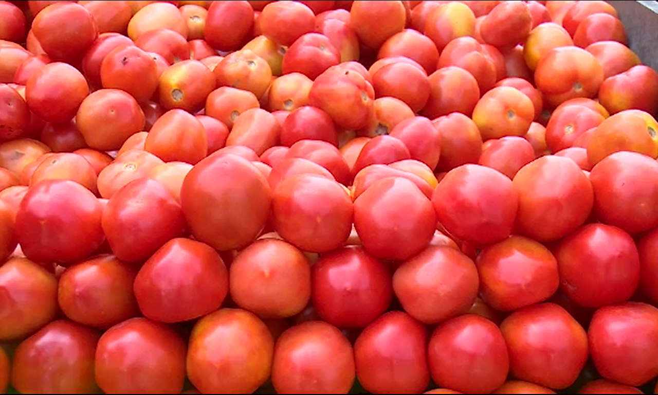 لال ٹماٹر  کی قیمتوں نے گاہکوں کے کان لال کردیئے