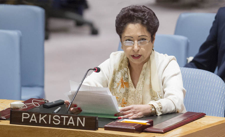 پاکستان کے تعاون کو نہ سراہا گیا تو نظرثانی کرسکتے ہیں: ملیحہ لودھی