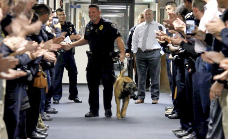 امریکی پولیس فورس میں تعینات کتا ریٹائر ہوگیا