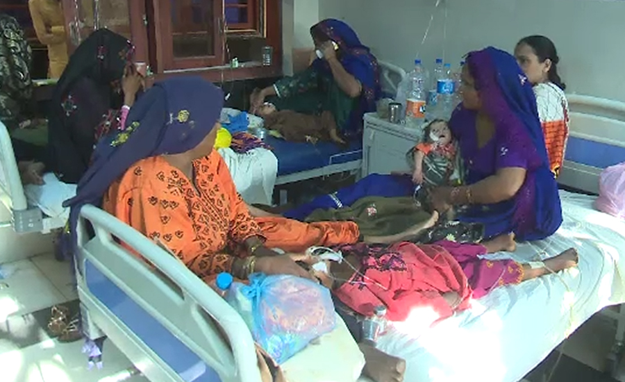 سپر بگ ٹائیفائیڈ بخار سے سندھ میں مریضوں کی تعداد900 سے تجاوز