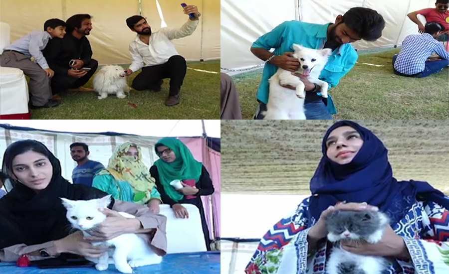 بہاولپور ،اسلامیہ یونیورسٹی میں پالتو جانورں کے شو کا انعقاد