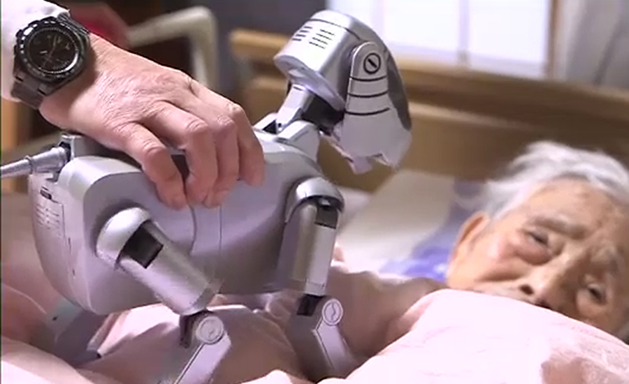 جاپان میں بزرگوں کو خوش کرنے کیلئے روبوٹس تیار