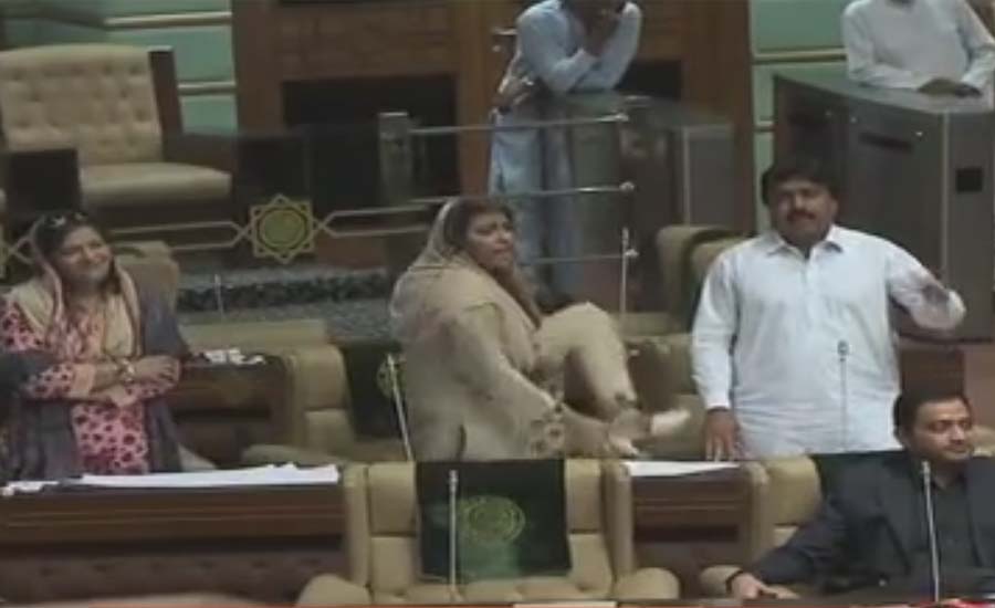 سندھ اسمبلی میں ہنگامہ آرائی ، شہلارضا نصرت سحرعباسی کی جانب سے جوتا دکھانے پر برہم