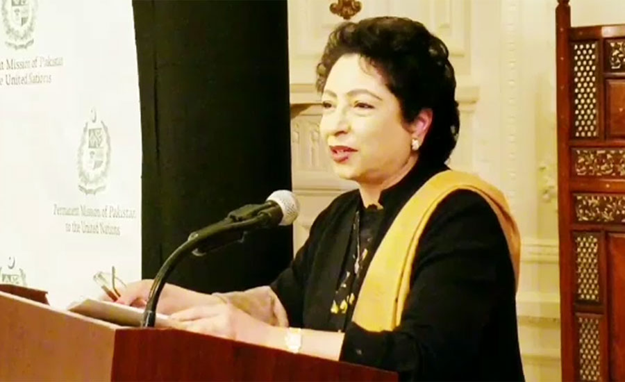 ڈاکٹر ملیحہ لودھی اقتصادی اور سماجی کونسل کی نائب صدر منتخب
