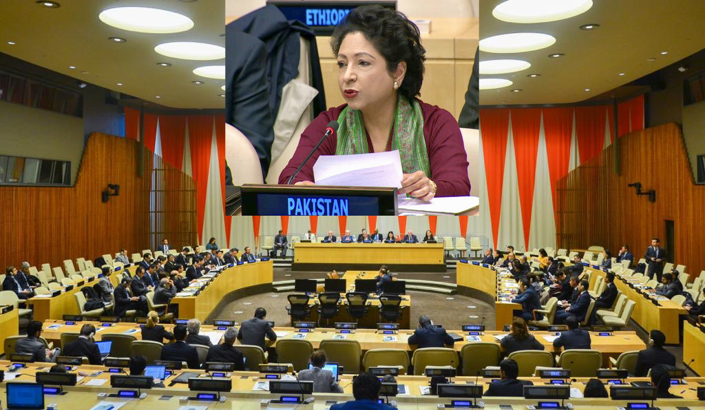 پاکستان بین الاقوامی یکطرفہ نظریات اور سوچ کی مخالفت کرتا ہے ، ملیحہ لودھی