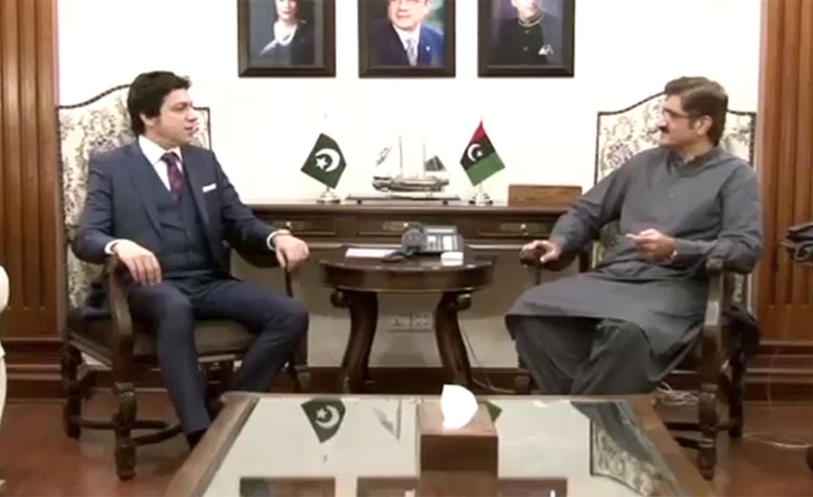 وزیر اعلیٰ سندھ کی وفاقی وزیر برائے آبی وسائل فیصل واوڈا سے ملاقات
