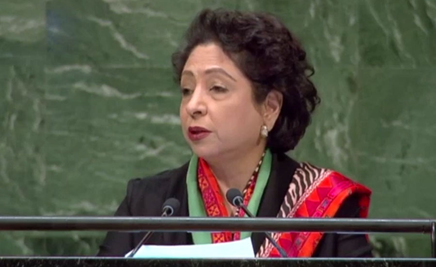اقوام متحدہ میں مقبوضہ کشمیر میں حق خود ارادیت بارے  پیش کردہ قرارداد منظور