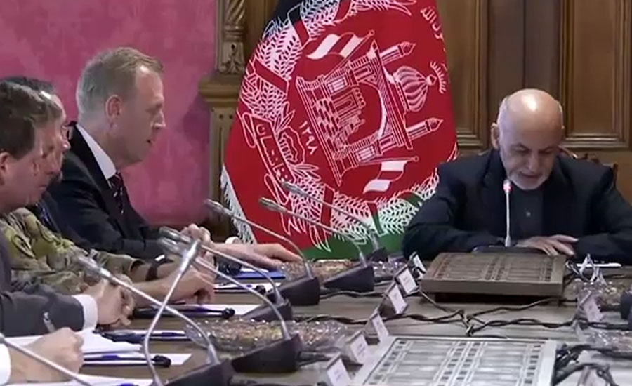 امریکا کے قائم مقام وزیر دفاع کا دورہ افغانستان،صدر سے ملاقات کی