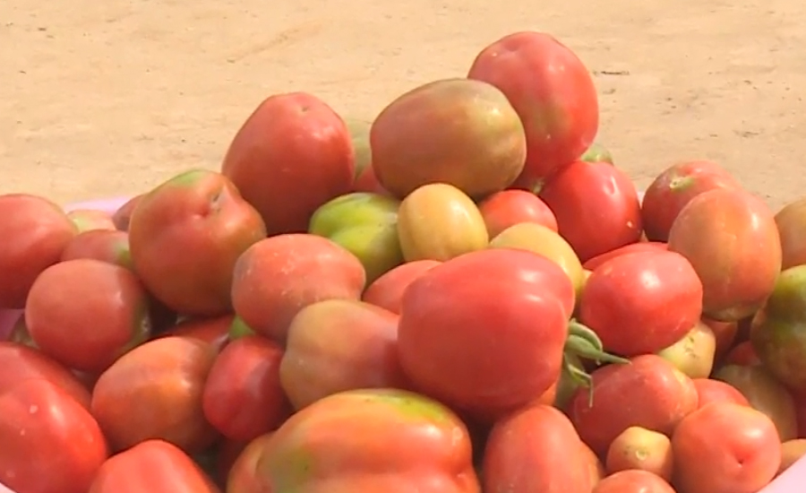 پاکستان نے سارا سال ٹماٹر پیدا کرنیوالا بیج تیار کر لیا