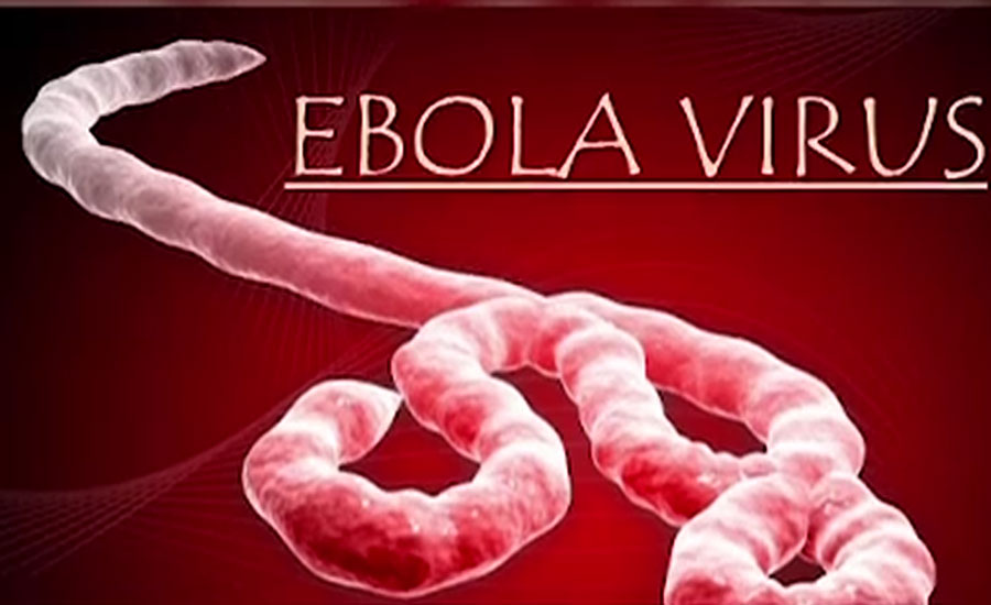 دنیا کا خطرناک ترین ایبولا وائرس افریقی ممالک سے پاکستان منتقل ہونے کا خدشہ