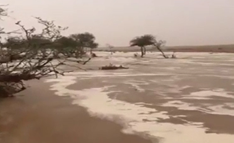 سعودی عرب میں موسلا دھار بارش سے جل تھل ایک ہو گیا