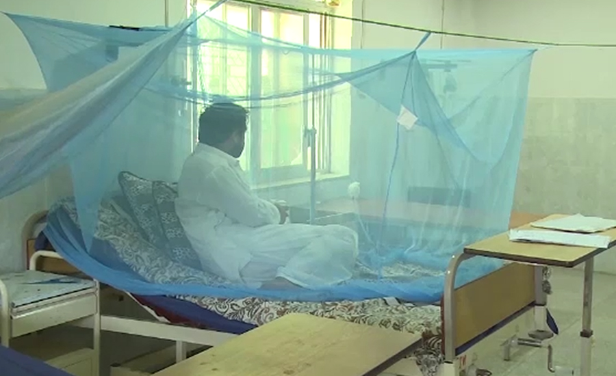 پشاور میں 71افرا د میں ڈینگی وائرس کی تصدیق