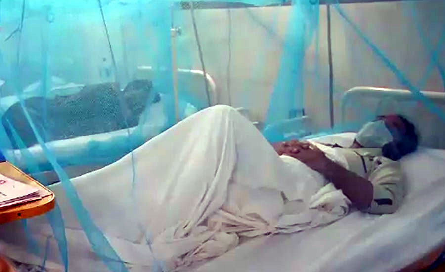 پنجاب میں ڈینگی بخار نے مزید 2 افراد کی جان لے لی