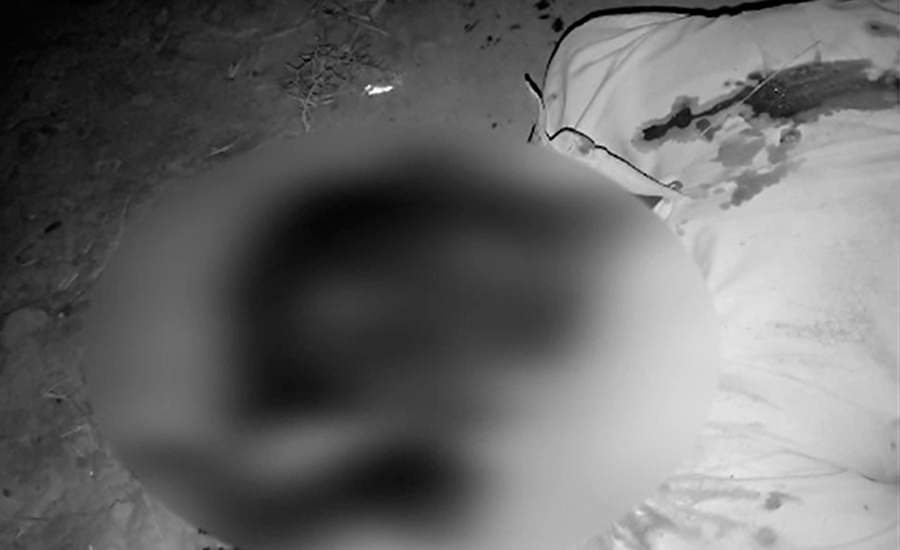 دوران ڈکیتی لڑکی سے زیادتی اور ماں کو قتل کرنیوالے چاروں ملزم ہلاک