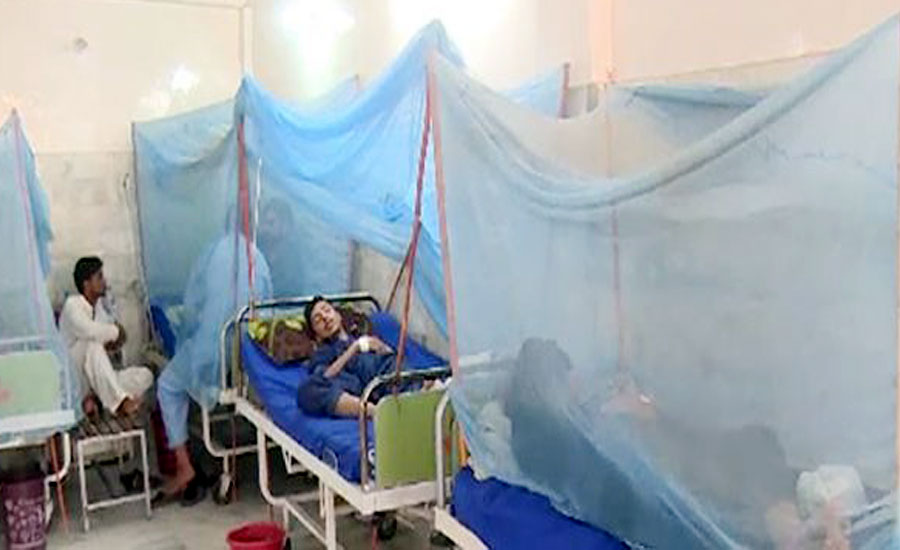 ڈینگی 3 صوبوں میں بے قابو، راولپنڈی میں ایک اور مریضہ چل بسی