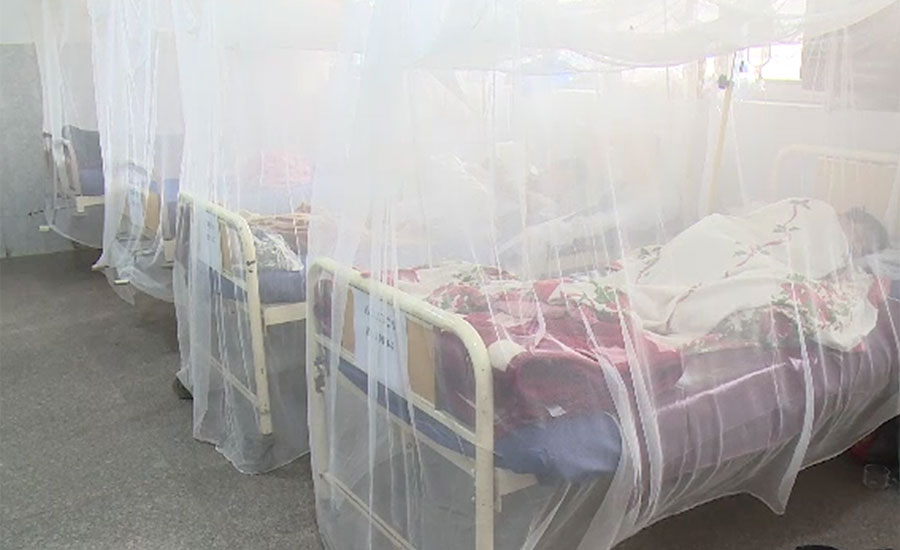 ڈینگی وائرس سے مزید چار افراد جاں بحق