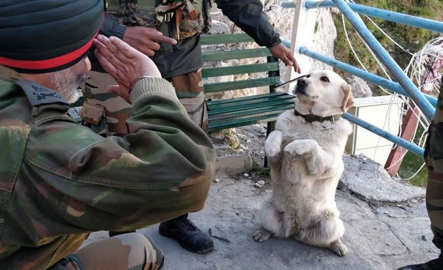 بھارتی جنرل کی کتے کو سلیوٹ کرتے کی تصویر وائرل ‏
