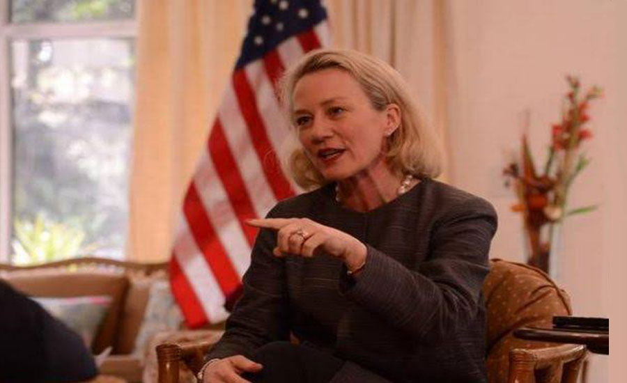 امریکی نائب معاون وزیر خارجہ ایلس ویلز پاکستان پہنچ گئیں