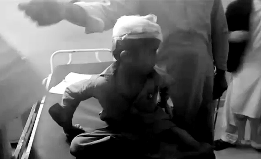 جامشورو اور ٹھٹھہ میں بچے سمیت چھ افراد کتوں کے کاٹنے سے زخمی