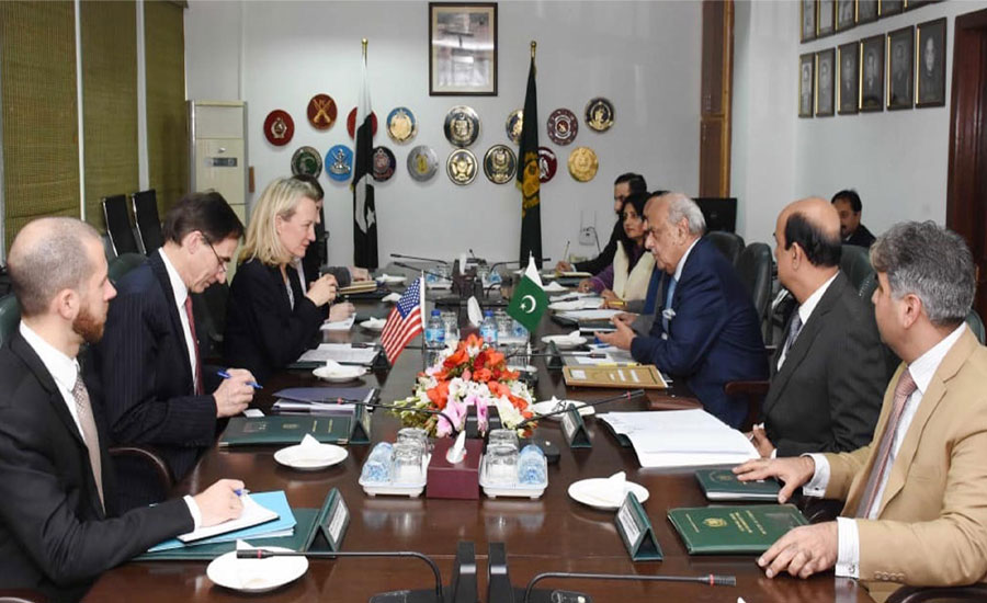 وزیر داخلہ اعجاز شاہ سے ایلس ویلز کی ملاقات ، سکیورٹی کے امور پر تبادلہ خیال