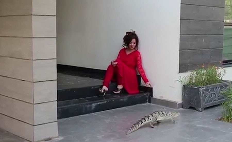 گلوکارہ رابی پیرزادہ غیرقانونی طور پر مگر مچھ ، سانپ پالنے کے کیس میں بری