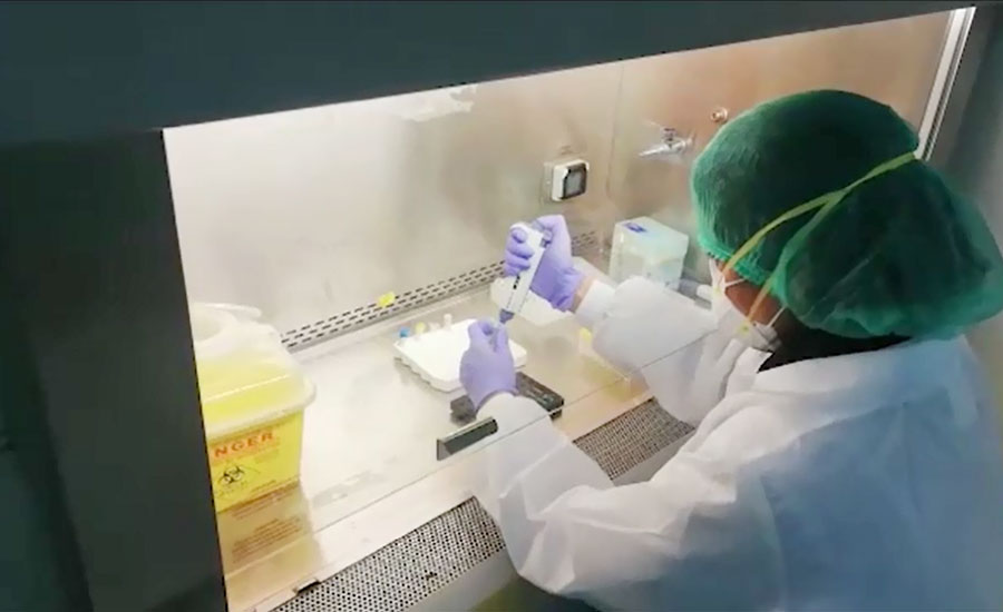 پاکستانی سائنسدانوں نے کورونا کیخلاف قوت مدافعت بڑھانے کی دوا تیار کرلی