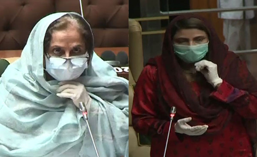 سندھ اسمبلی، نصرت سحر عباسی اور وزیر صحت کے درمیان تلخ جملوں کا تبادلہ