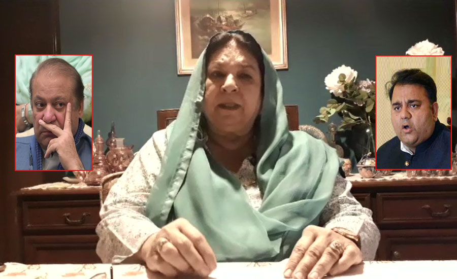 فواد چودھری کے نواز شریف کی رپورٹس کی تحقیقات کے مطالبہ پر یاسمین راشد برا مان گئیں