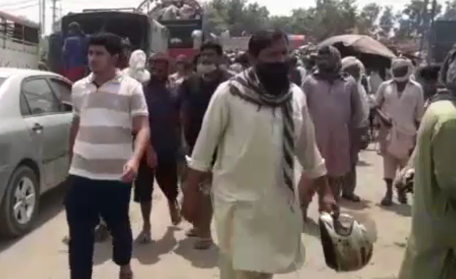لاہور کی مویشی منڈیوں میں ایس او پیز کی دھجیاں اڑا دی گئیں