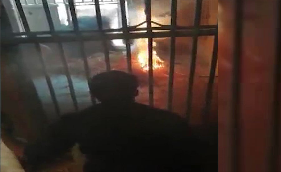 اسلام آباد کے مرغزار چڑیا گھر کے پنجرے میں آگ لگانے سے آخری شیر بھی مر گیا