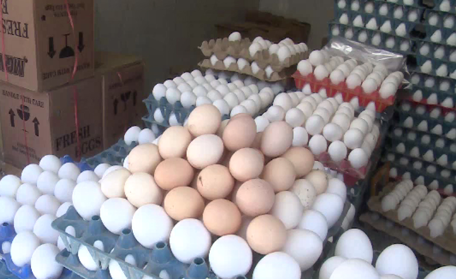 کوئٹہ میں مرغی کا انڈہ 17 روپے میں بکنے لگا