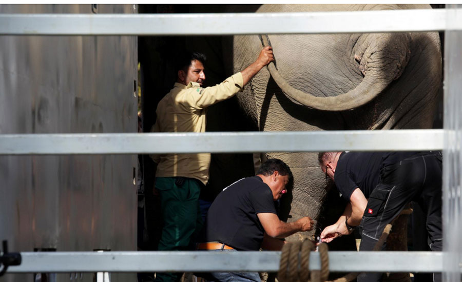 چڑیا گھر کا ہاتھی کاون کمبوڈیا پہنچ گیا