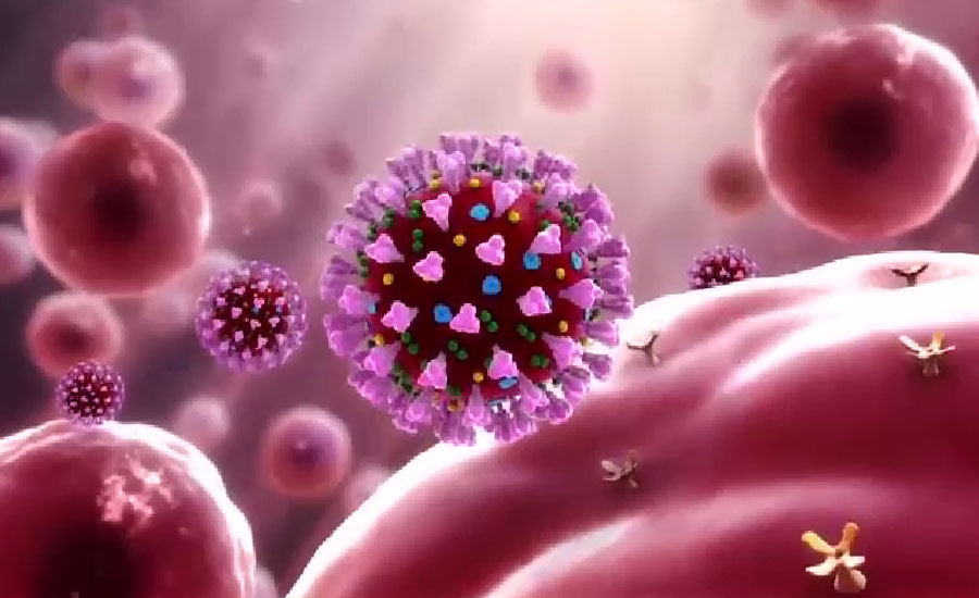 ملک بھر میں کورونا وائرس سے 71 افراد جاں بحق