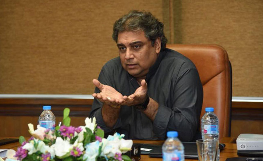 ماضی کی حکومت کے معاہدے مشکلات کھڑی کررہے ہیں، علی زیدی