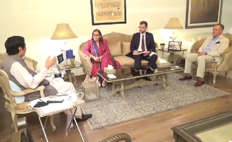 چودھری پرویز الہی سے پاکستان میں یورپی یونین کی پہلی خاتون سفیر اینڈرولا کامی نارا کی ملاقات