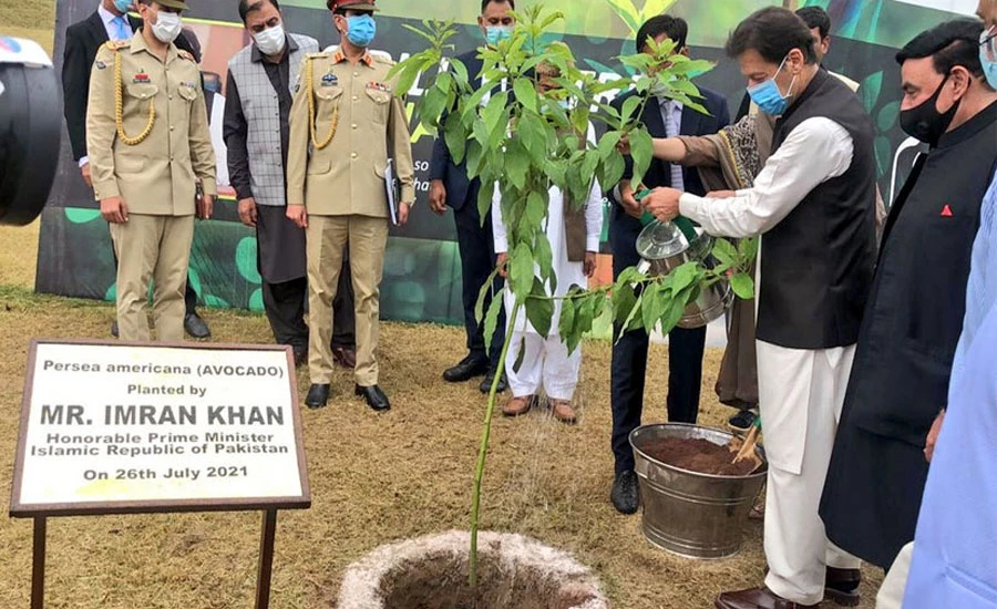 وزیراعظم نے پودا لگا کر رواں سال کی مون سون شجرکاری مہم کا آغاز کردیا
