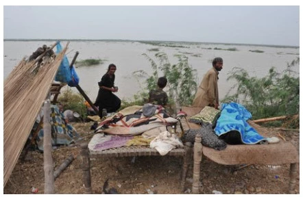 سندھ کے دیہی علاقے کسمپرسی کا شکار، غربت کی چکی میں پستے نفوس دادرسی کے منتظر