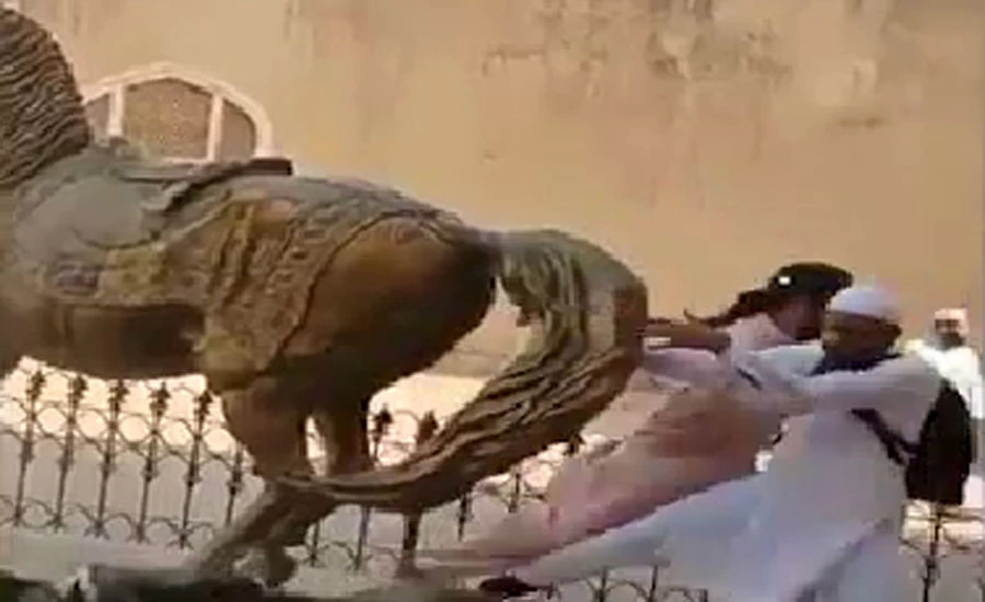 لاہور شاہی قلعے میں نصب رنجیت سنگھ کے مجسمے کو نقصان پہنچانے والا ملزم گرفتار