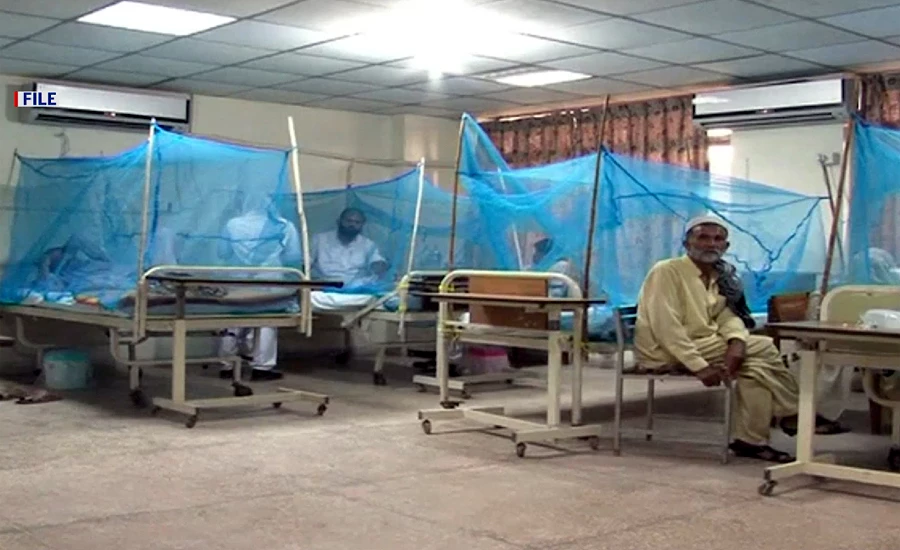 پنجاب میں ایک روز میں ڈینگی کے 92 مریض رپورٹ