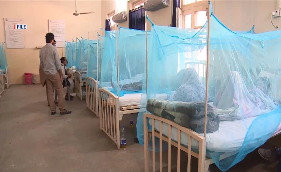 اسلام آباد میں مزید 86 افراد ڈینگی مچھر کے کاٹنے سے بیمار پڑ گئے