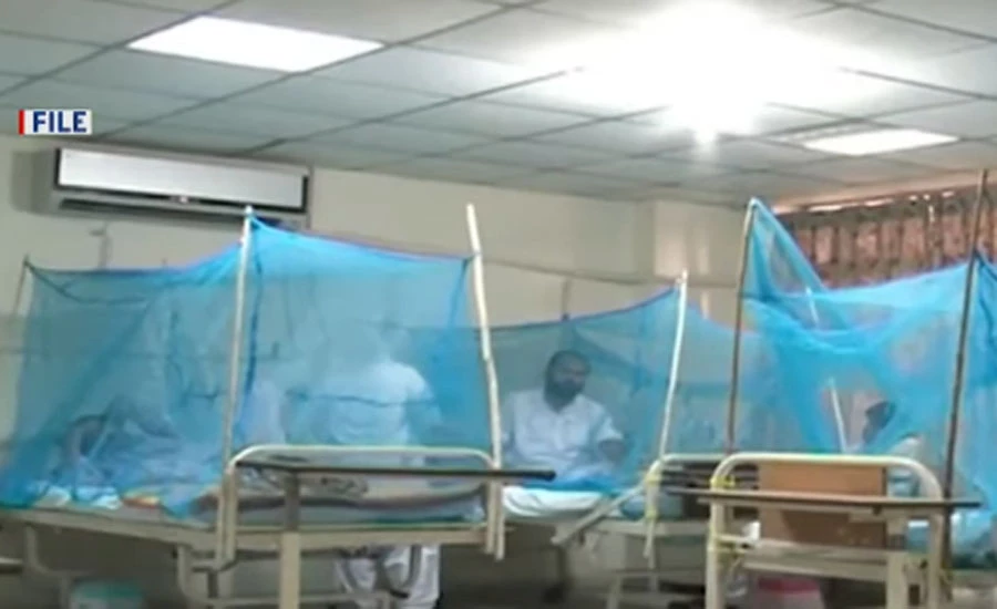 ڈینگی کے وار تھم نہ سکے، پنجاب میں مزید 500 سے زائد مریض رپورٹ