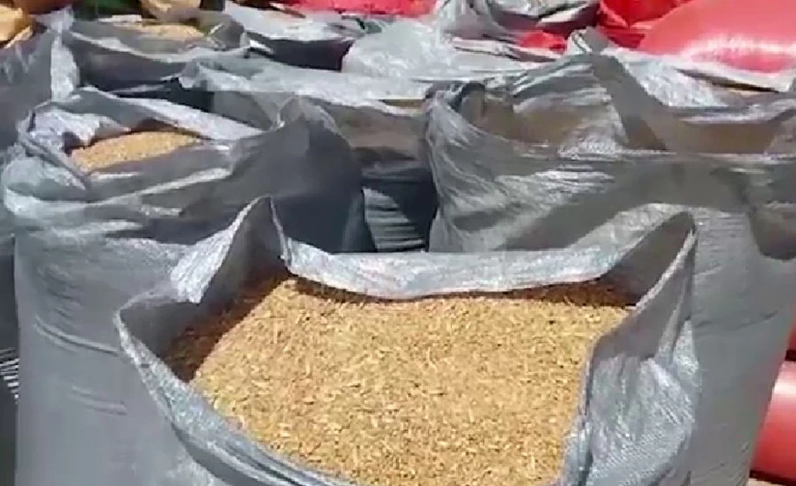 گندم کی درآمد کا دوسرا ٹینڈر بھی منسوخ ہو گیا