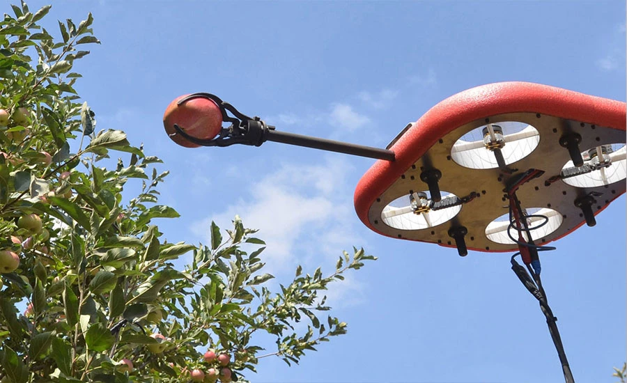 پھل توڑنے کیلئے ڈرون ٹیکنالوجی کا سہارا