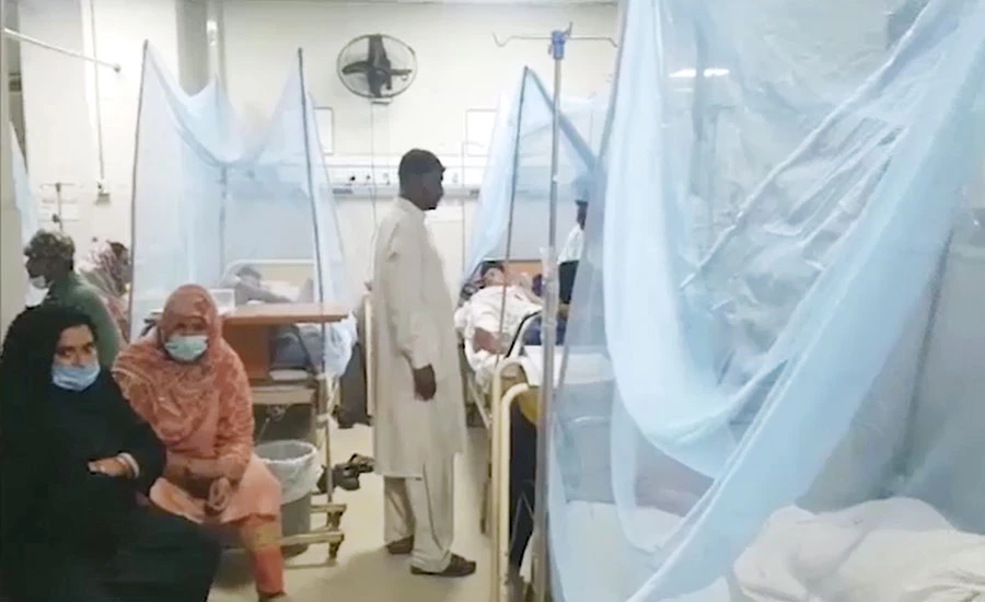 اسلام آباد میں ایک روز کے دوران 48 شہری ڈینگی بخار میں مبتلا
