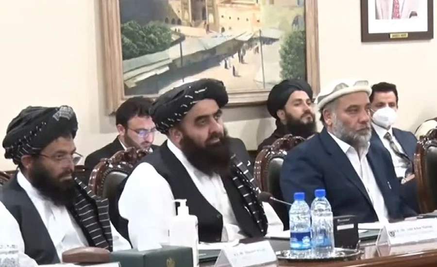 افغان عبوری وزیرخارجہ نے پاکستان اور کالعدم ٹی ٹی پی میں سیزفائر معاہدے کو خوش آئند قرار دے دیا