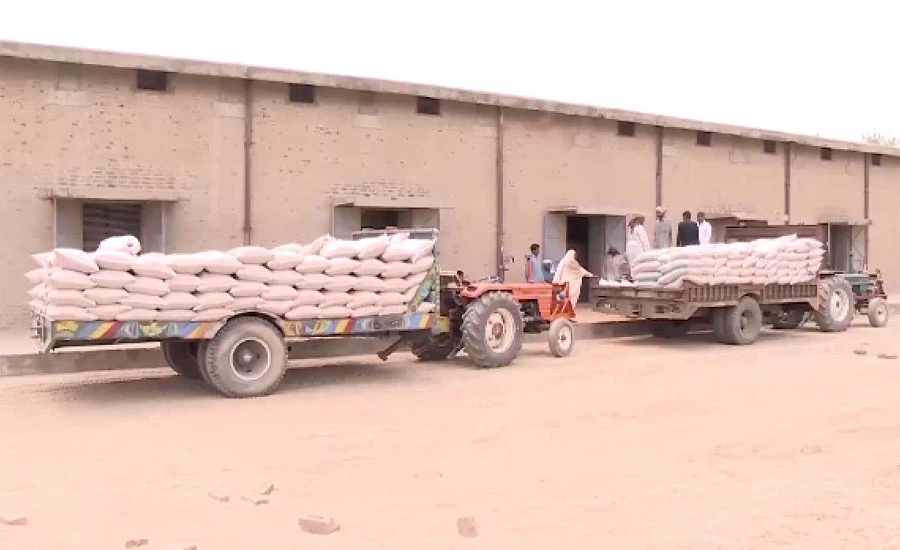 حکومت پنجاب کا گندم کی امدادی قیمت پر نظرثانی کا فیصلہ